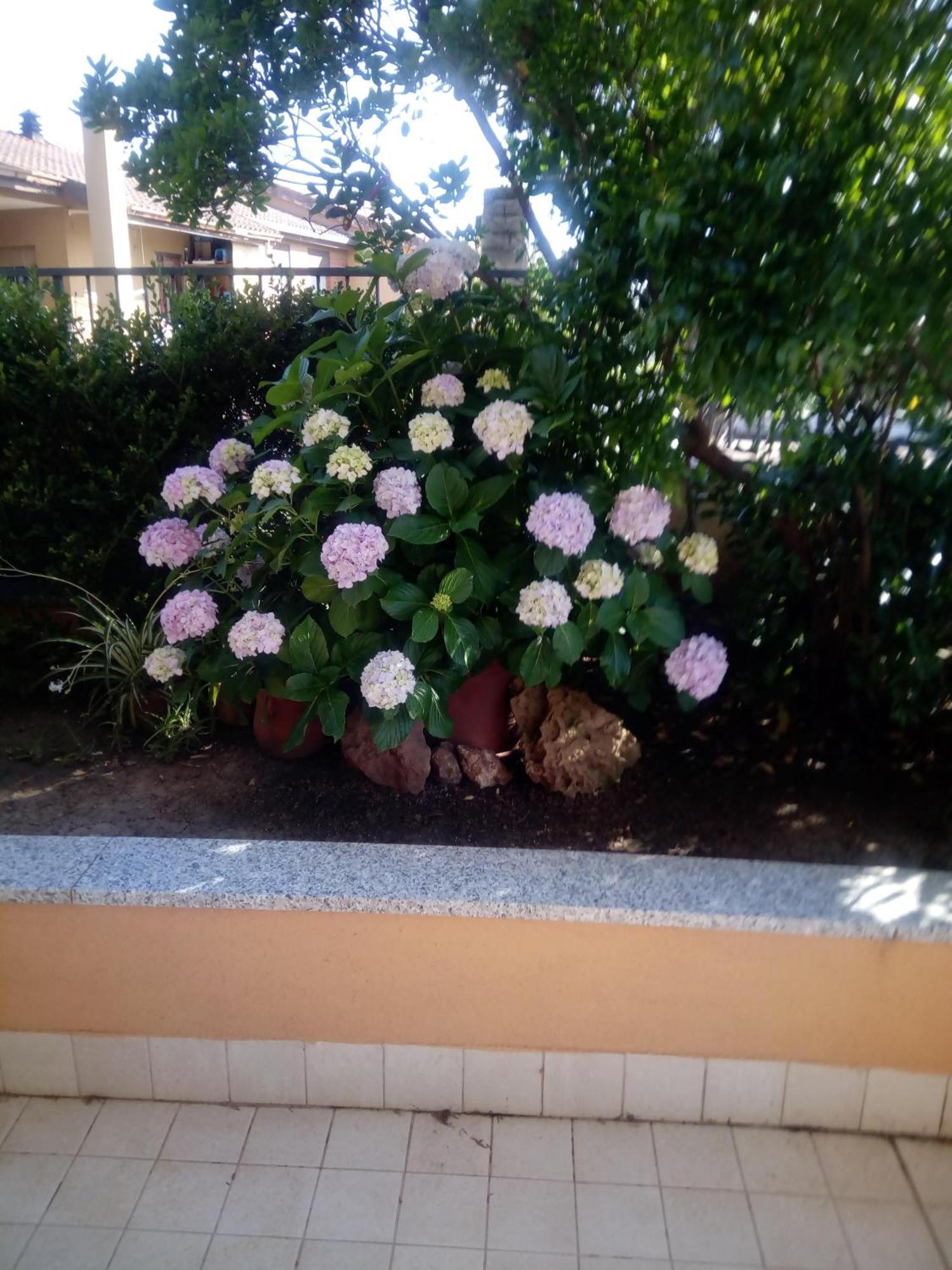 Vila Casa Al Mare Con Giardino Alghero Exteriér fotografie